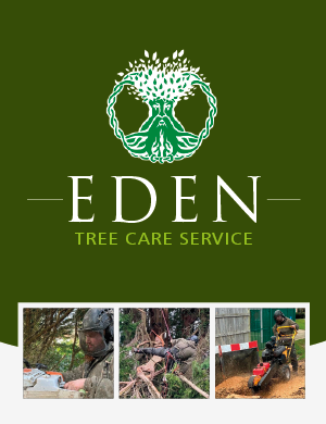 Eden Tree and Hedge Care Services - Website Design